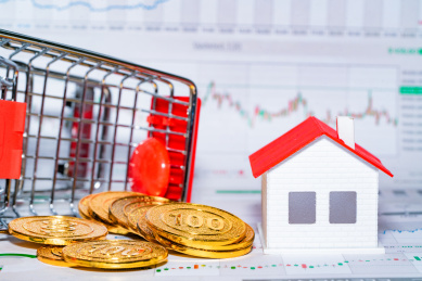 购物车房屋模型小人国沙盘小人人偶模型图表报表房地产概念