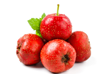 白底上的四颗山楂果