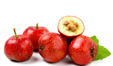 白底上的酸枣切面