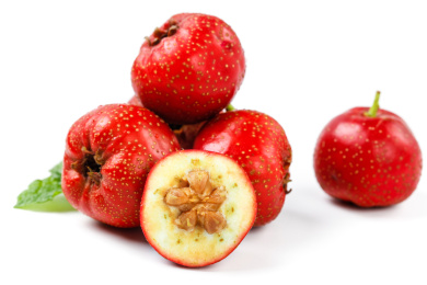 白底上的红山楂果肉纹理