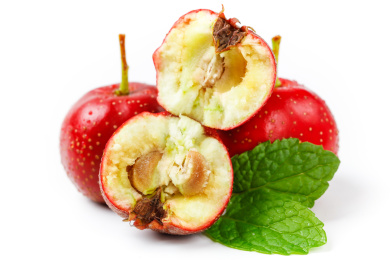 白底上的红山楂果肉