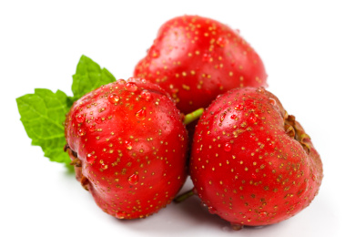 白底上的三个山楂