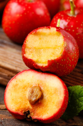 木底上的山楂切面