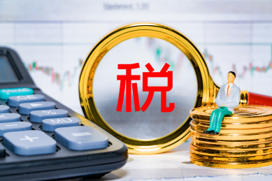 微距摄影小人国经济纳税交税缴税税收个税概念