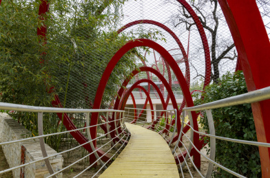 中国山东临沂沂河景区里面的特色栈道