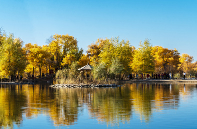 甘肃省酒泉市金塔县胡杨林和金波湖秋天风光