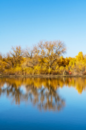 甘肃省酒泉市金塔县胡杨林和金波湖秋天风光