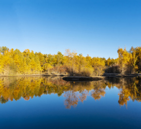 甘肃省酒泉市金塔县胡杨林和金波湖秋天风光