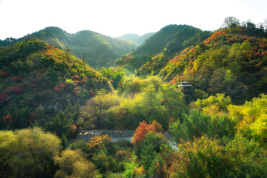 中国山东济南九如山深秋红叶
