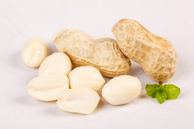 白底上的花生和花生仁