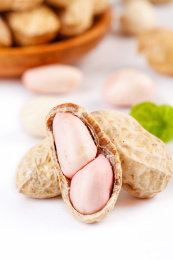 白底上剥开壳的湿花生果实