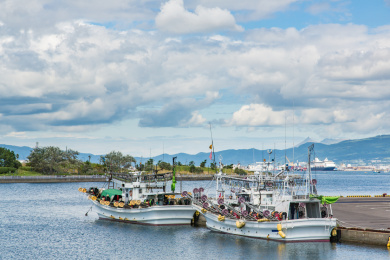日本北海道函馆市的海湾景色