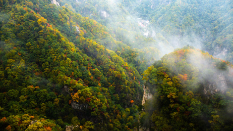 中国河南尧山风光