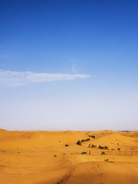 宁夏沙坡头国家级自然保护区沙漠区驼队走在沙漠上