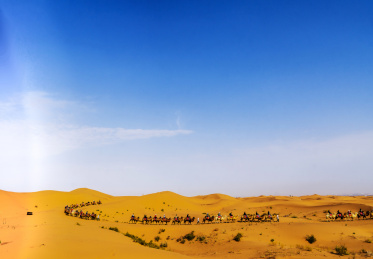 宁夏沙坡头国家级自然保护区沙漠区驼队走在沙漠上