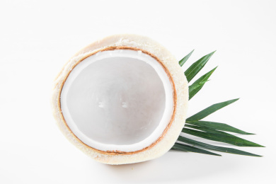 白底上的椰青椰肉 椰子