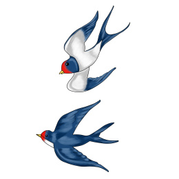 飞翔的一对燕子插画白底素材