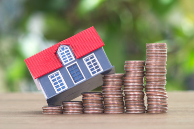 绿植背景前面桌子上递增的美元硬币和房屋模型