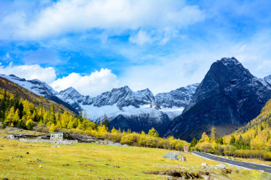 中国四川省四姑娘山双桥沟红杉林雪山布达拉峰