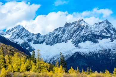 中国四川省四姑娘山红杉林雪山双桥沟布达拉峰