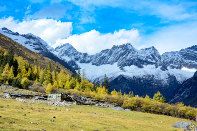 中国四川省四姑娘山红杉林雪山双桥沟;布达拉峰