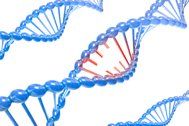 双螺旋结构DNA链生物工程医学DNA基因结构遗传疾病概念
