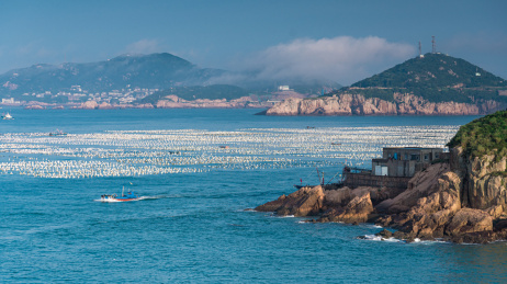 中国浙江省舟山市枸杞岛海岸风光