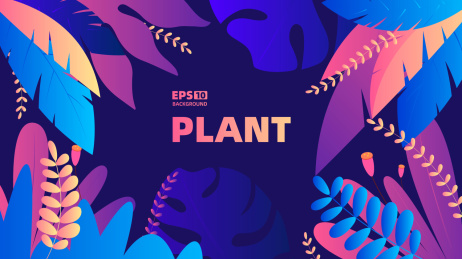 用于海报和网站上的各种植物叶子形状矢量素材