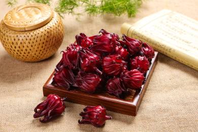 新鲜的药用植物花茶玫瑰茄洛神花