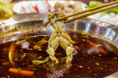在红油火锅里翻滚的新鲜美蛙