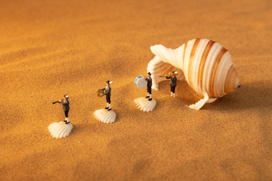 海边的海螺里走出来一只乐队站在贝壳上