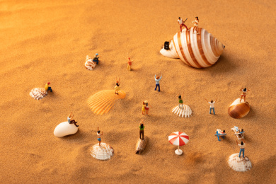 在铺满贝壳的海滩上参加沙滩音乐会狂欢的人群