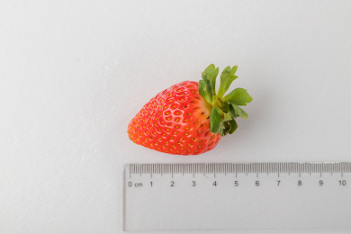 白色桌面上放着一颗用尺子测量的草莓