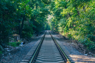 户外消失在绿色森林中的生锈铁轨
