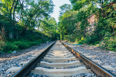 户外消失在绿色森林中的生锈铁轨