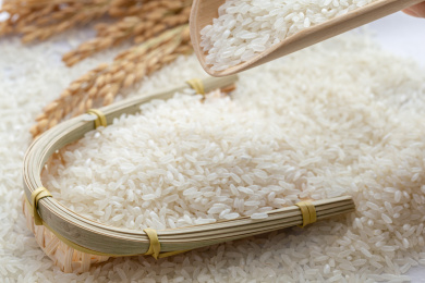 新鲜的东北大米稻米