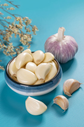 具有保健功效的大蒜摆放在蓝色背景上