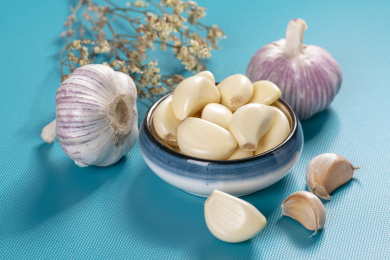具有保健功效的大蒜摆放在蓝色背景上