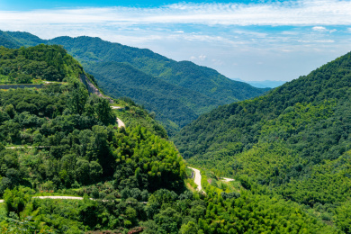 中国浙江山绿色山林间的盘山公路