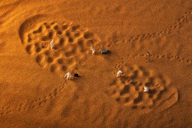 犯罪现场足迹鞋印调查