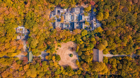 航拍南京紫金山灵谷寺景区全景