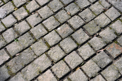 由小方砖石块铺设的公园路面