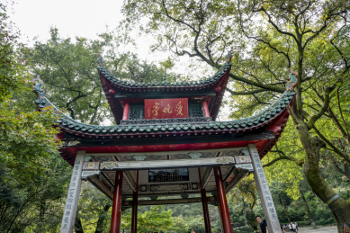 中国四大赏枫胜地－长沙岳麓山爱晚亭风光