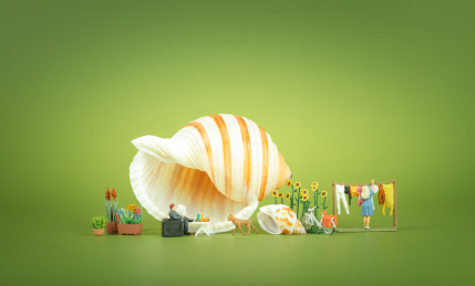 蜗居家庭住在海螺里的夫妻