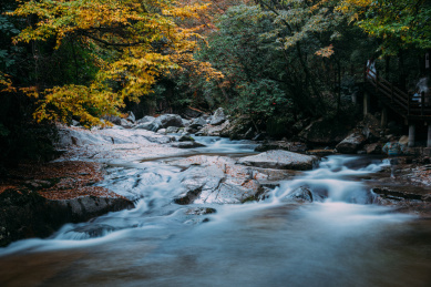山中清澈的流水泉水与小溪风光