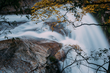 秋天金色的枫叶与流动的泉水