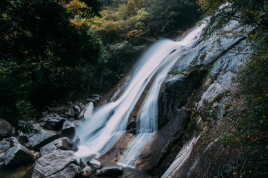秋天金色的枫叶与流动的泉水