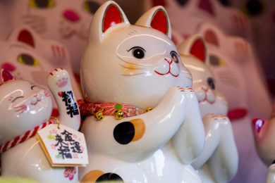 一群陶瓷的日本招财猫在展示柜里
