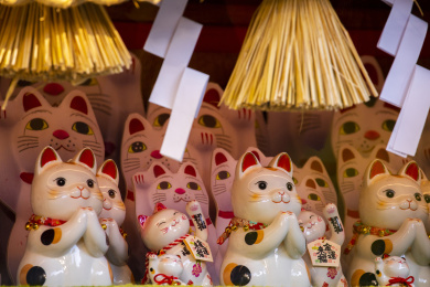 一群陶瓷的日本招财猫在展示柜里