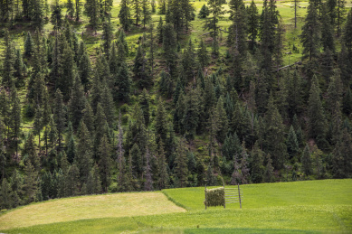 中国西藏高山草甸青稞晾晒架